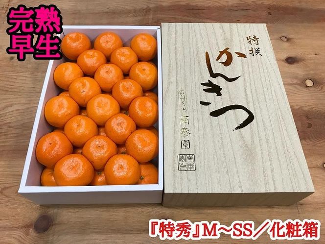 定期便 有田みかん 食べくらべ 3種 化粧箱 各約 3kg 南泰園 全3回 2024年 10月 発送開始 	BS800