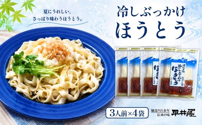 DX015　冷しぶっかけほうとう3人用平袋×4パック