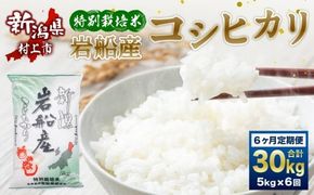 【令和7年産米】特別栽培米  新潟県岩船産 コシヒカリ 30kg（5kg×6ヶ月コース） 定期便  毎月 お米  白米 こしひかり 精米 村上市 1013012
