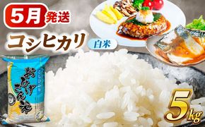 コシヒカリ 白米 5kg / 脇野コンバイン[AECP021-9]