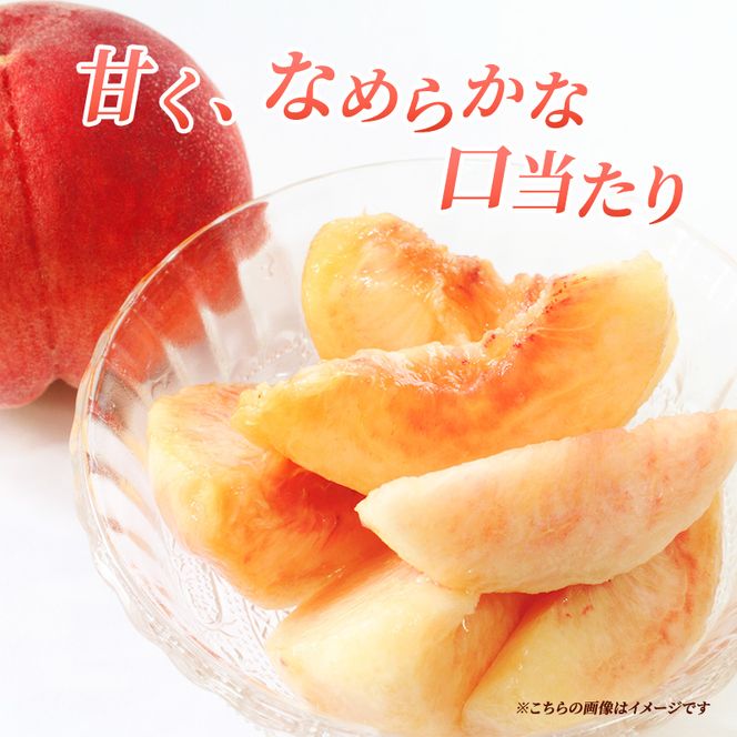 【2026年8月中旬～発送予定】 先行予約 「浅間水蜜桃プレミアム」 もも なつっこ 秀品 約2kg 5～9玉 贈答品 ふるさと納税 果物 桃 フルーツ モモ 果肉  長野県産 小諸市 