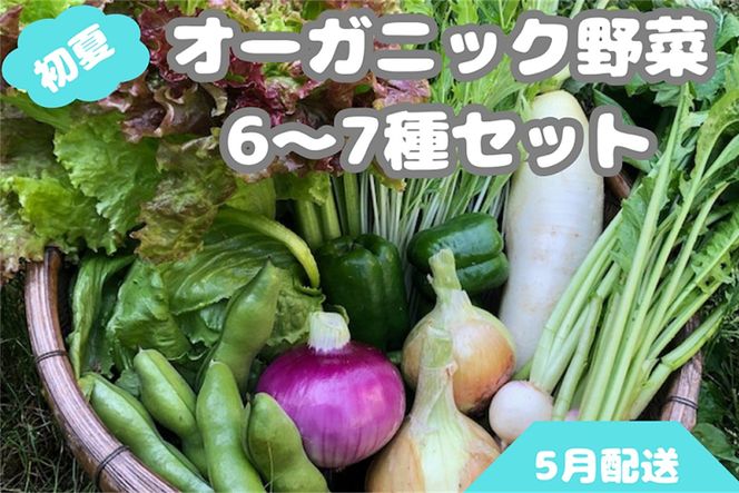 【先行予約：5月配送】＜てんとうむしばたけ＞初夏のオーガニック野菜セット　有機野菜6～7種前後　BR00041_05
