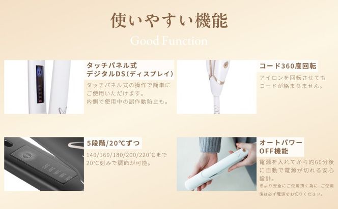 TIB0002 【高島屋選定品】〈KINUJO〉ヘアアイロン ワールドワイドモデル DS200-F （ホワイト）