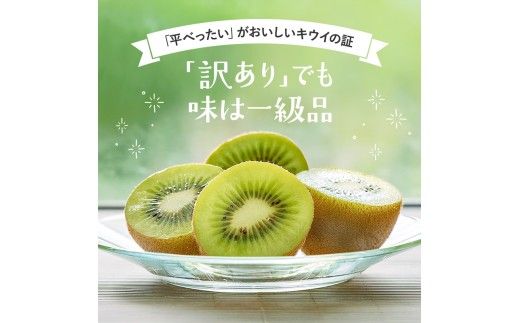 わけあり キウイ 10kg+250g（傷み補償分）扁平果 / 和歌山 家庭用 フルーツ 果物 くだもの ※2026年11月中旬より2027年4月下旬頃順次発送予定 ※北海道・沖縄・離島配送不可 【ikd716】