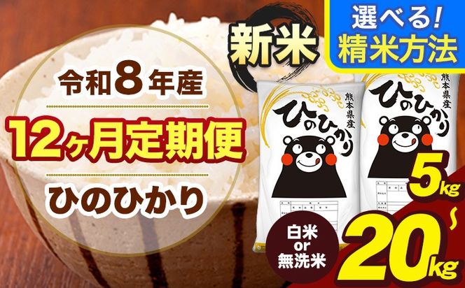 新米 令和8年産【12ヶ月定期便】無洗米 も選べる 白米 米 ひのひかり 5kg 10kg 20kg 《12月から出荷開始》熊本県 大津町 国産 熊本県産 白米 精米 無洗米 送料無料 ヒノヒカリ こめ お米---oz_lcl_1128_dec12_tei---