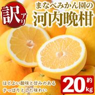 ＜先行予約受付中！2027年3月中旬以降順次発送予定＞訳あり！まなべみかん園の河内晩柑(約20kg) 国産 鹿児島県産 阿久根市産 柑橘類 果物 フルーツ 期間限定 数量限定 デザート 【有限会社まなべみかん園】akn034-21