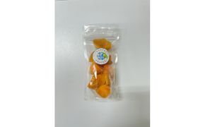 SANUKIFROZEN 柿 100g×8袋 372013_KF019