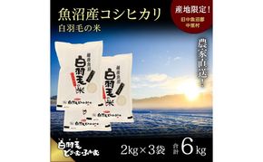 【通年受付】≪令和8年産≫ 農家直送！魚沼産コシヒカリ「白羽毛の米」精米 (2kg×3袋) 6kg お米 白米 ご飯