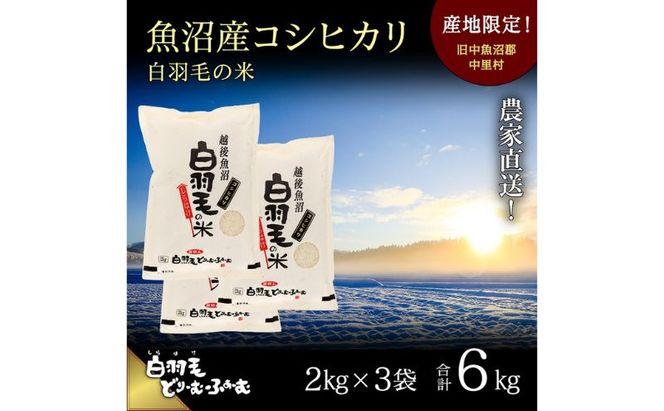 【通年受付】≪令和8年産≫ 農家直送！魚沼産コシヒカリ「白羽毛の米」精米 (2kg×3袋) 6kg お米 白米 ご飯