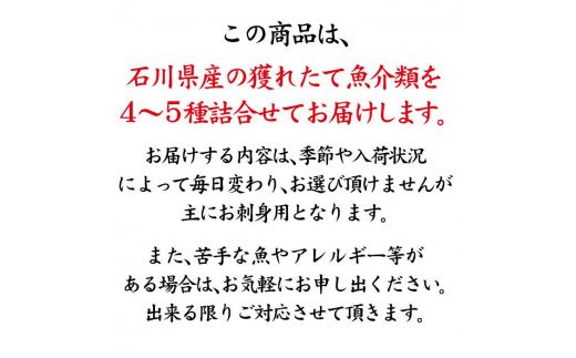 石川県・加賀市 旬の鮮魚 ( 刺身用/下処理済 ) 詰合せ 4～5種 復興　震災　コロナ【能登半島地震復興支援】 北陸新幹線 F6P-0974