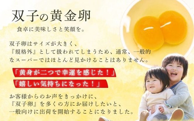 卵 【ランキング急上昇！】 産みたて 新鮮卵 30個入り ※二黄卵3個以上入り！ / 卵 たまご 玉子 鶏卵 新鮮 濃厚 生卵 健康 産地直送 【aubless003】