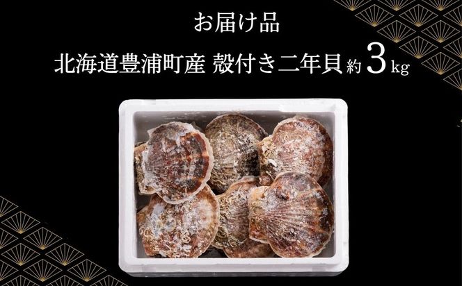 【先行予約】北海道 豊浦町 殻付き 2年貝 活ホタテ 約3kg（2026年1月から3月より順次発送） TYUP001