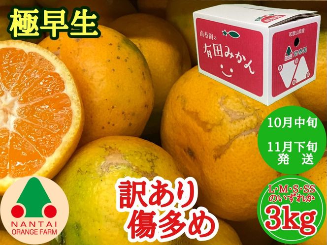 訳あり 傷多め 極早生 有田 みかん 3kg L～SS サイズおまかせ 南泰園 和歌山 有田みかん BS623