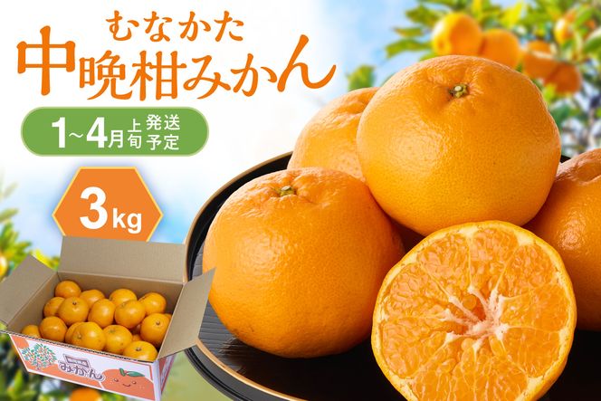 ＜2027年1月～4月上旬発送＞JAむなかたかんきつ部会が厳選したみかん（中晩柑）計3kg【JAほたるの里】_HA0281