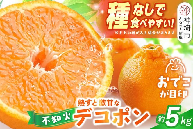 【2027年1月中旬より発送開始】不知火(デコポン) 約5kg【みかん 柑橘 清美 ポンカン フルーツ デザート】(H116137)