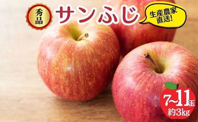 りんご 先行予約 サンふじ 秀品 約 3kg (7～11玉) フルーツ 果物 冬 2026年 12月発送