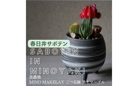 多治見市×春日井市コラボ 【美濃焼】 MINO MAKELAY 三つ足鉢 黒土マーブル ×【日本有数のサボテン産地】春日井市の名店 後藤サボテン