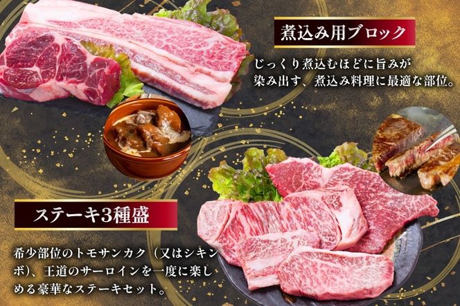 AJ670 【12回定期便】 長崎和牛 スタンダードコース [ 長崎和牛 定期便 和牛 お肉 肉 牛 牛肉 国産 ステーキ 焼肉 もも モモ バラ肉 スネ肉 ブロック ロース すき焼き しゃぶしゃぶ サーロイン カルビ ミンチ ひき肉 ヒレ トモサンカク シキンボ 水田精肉店 長崎県 島原市 ]