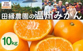 【先行予約】【数量限定】田縁農園の温州みかん（生果）10kg ※離島への配送不可 （2026年11月10日より順次発送） IKTA025
