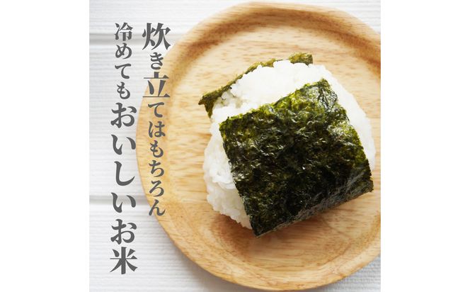 【B01010】大分ヒノヒカリ 3kg