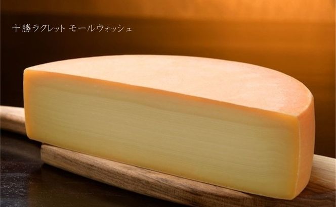 アトリエミル・ラクレットオーブン(SR-1001)【ラクレット(1/2ホールチーズ)付】