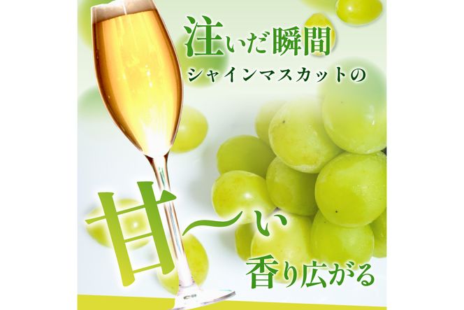 KyoTango ShineBeer 6本セット　お酒 酒 ビール ビア セット 詰め合わせ ふるさと納税 フルーツビール  地ビール ふるさと納税 ビール 人気 送料無料 果物 甘いビール フレーバー 瓶ビール　TO00131