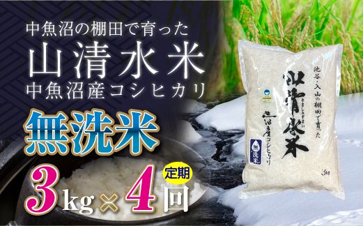 【定期便／全4回】無洗米3kg 新潟県魚沼産コシヒカリ「山清水米」 