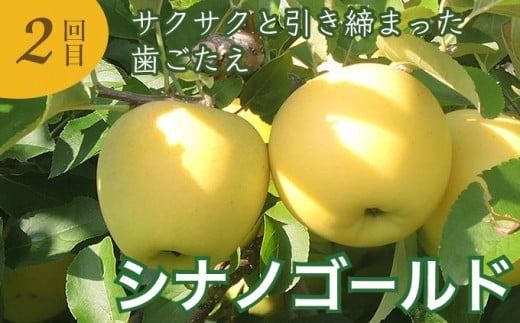 小布施町りんごの食べ比べ定期便3回コース ［小布施屋］フルーツ 果物 りんご 林檎 定期便 信州産 長野県産 令和7年産 【2025年10月～2026年1月発送】 ［C-501］