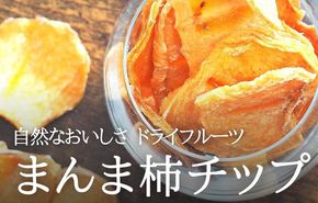 ドライフルーツ 柿チップ 200g ( 40g × 5袋 ) 和歌山県産 果物使用 自社製造 【みかんの会】  AX56