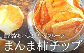 ドライフルーツ 柿チップ 200g ( 40g × 5袋 ) 和歌山県産 果物使用 自社製造 【みかんの会】 AX56