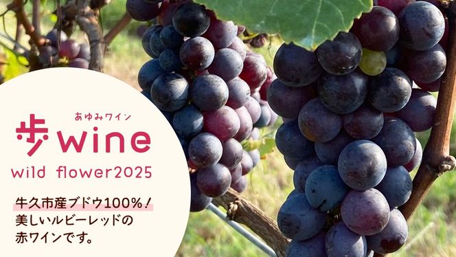 歩wine wild flower2025 ( 750ml ) 日本ワイン 牛久市 ブドウ 自然派ワイン 無濾過 ファーストヴィンテージ マスカット・ベーリーA ビジュノワール メルロー バルベーラ ワイン 酒 赤ワイン わいん