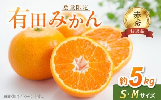 BF6005n_【2026年先行予約】【赤秀特選品】有田みかん S, Мサイズ 約5kg
