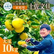 果樹園直送】土佐文旦 4L 2個入り 1.5kg 大玉 特選品贈答用（高知県