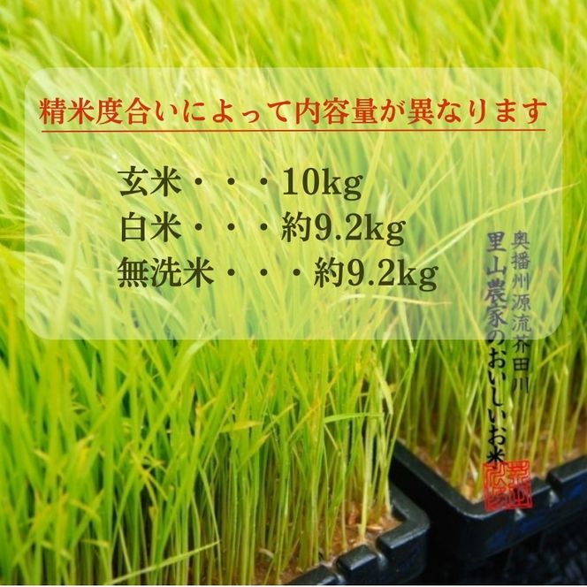 米 【令和7年産】 コシヒカリ 10kg 精米にて 奥播州源流 芥田川産 芥田川 農家直送 10キロ 国産米 こしひかり  贈り物 喜ばれる お米ギフト おいしいお米 お祝い 内祝い 贈答 美味しい おいしい 