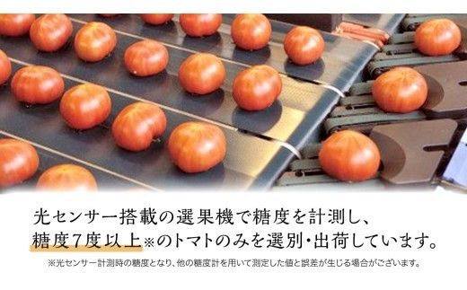 フルーツトマト 大箱 約2.6kg × 3箱 【大玉 20～35玉/1箱】 2026年産 糖度7度 以上 野菜 フルーツ トマト とまと [AF074ci]