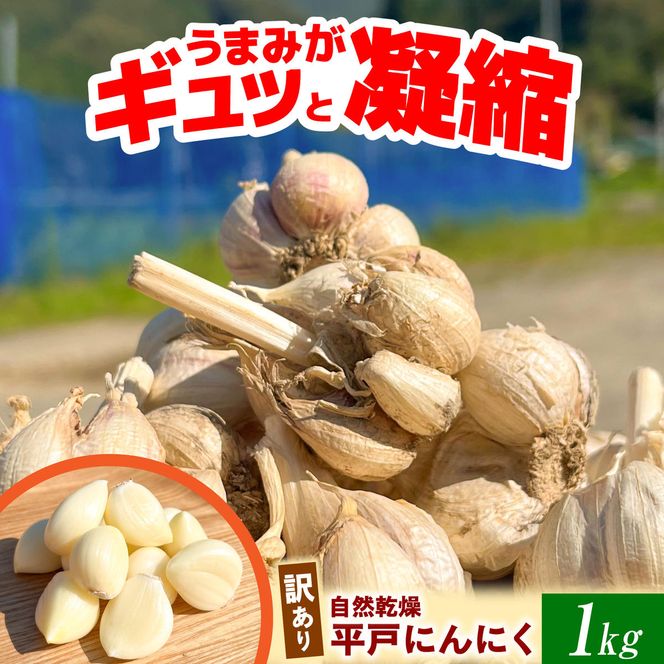 訳あり 平戸にんにく 約1kg 〈2026年6月10日～2026年10月31日〉乾燥 ニンニク 平戸にんにく 訳アリ わけアリ 不揃い 型崩れ 自然乾燥 大量 大容量 常温 配送 数量限定 高知県産 高知県 土佐市【株式会社 植田ファーム】[BQAT006]