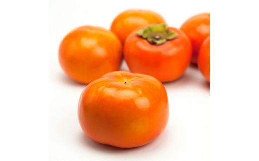 【先行予約】【秋の美味】【九度山ブランド】九度山の濃厚富有柿　秀品　Ｍサイズ 36玉 (約7.5kg)【GO-07】 ※2026年11月中旬～12月上旬頃に順次発送予定 ※着日指定不可【ard062C】