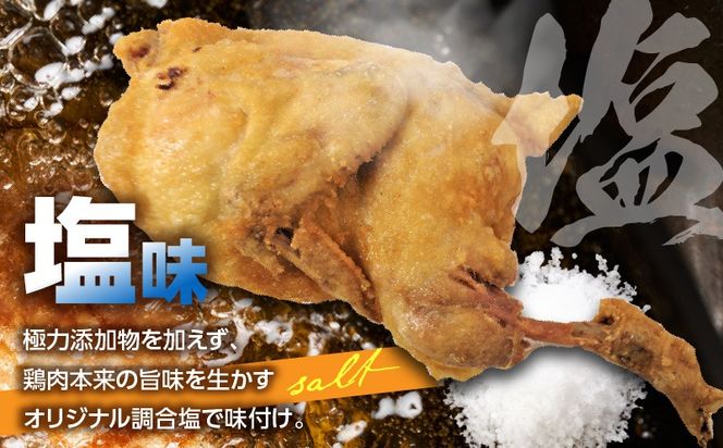 半身からあげ3本セット(塩味×2本 スパイス味×1本)_a0031_hi