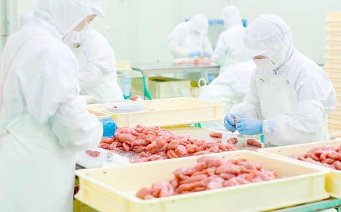 【食品添加物不使用】【お徳用】辛子明太子並切　500g×2個セット　築上町 / 株式会社　海千[ABEQ026]