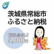 茨城県常総市への寄附（返礼品なし）5,000円　【地域のお礼の品・返礼品・返礼品無し・発展・寄付】