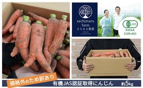 訳あり 規格外 にんじん 約5kg 有機JAS認証取得 栽培期間中農薬 除草剤 化学肥料不使用 野菜 食材 緑黄色野菜 国産野菜 えぐみがない 甘い人参 産地直送 キャロット ベジタブル 