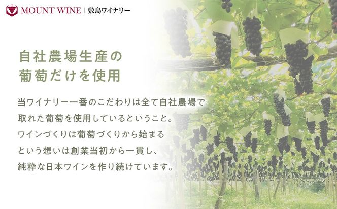 【敷島 赤 & 甲州小梅ワイン】2本セット 　F-2