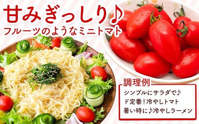 ミニトマト アイコ 約2kg 約3kg ますだふぁーむ《7月上旬-11月末頃出荷》熊本県 南阿蘇村 アイコトマト 野菜 旬 夏野菜 トマト---sms_msf_af711_r7_11000_2kg---