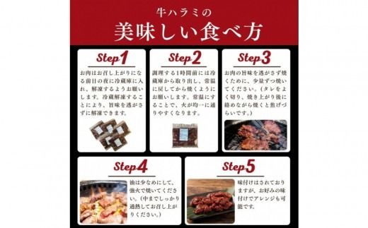 牛ハラミ タレ漬け 1.2kg ( 300g × 4 ) お肉柔らか＆タレ美味しい 小分け 使いやすい ハラミ 牛肉 焼肉 バーベキュー 冷凍 味付き 配送時期が選べる 個包装 調理簡単 便利 アウトドア キャンプ 人気 おすすめ