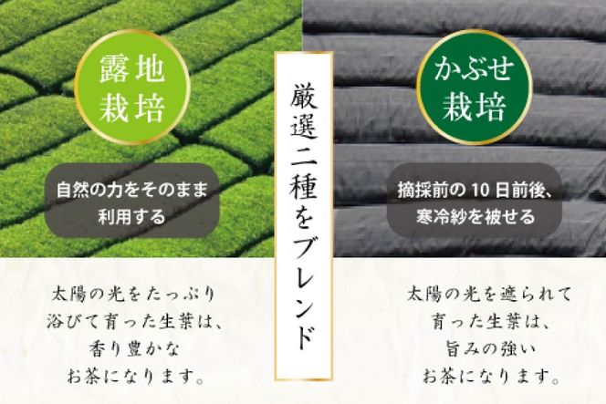 y{茧sz v~A eB[obO IԂ 3g 12 [J⒃ {茧 s 452061617] eB[pbN  Β {