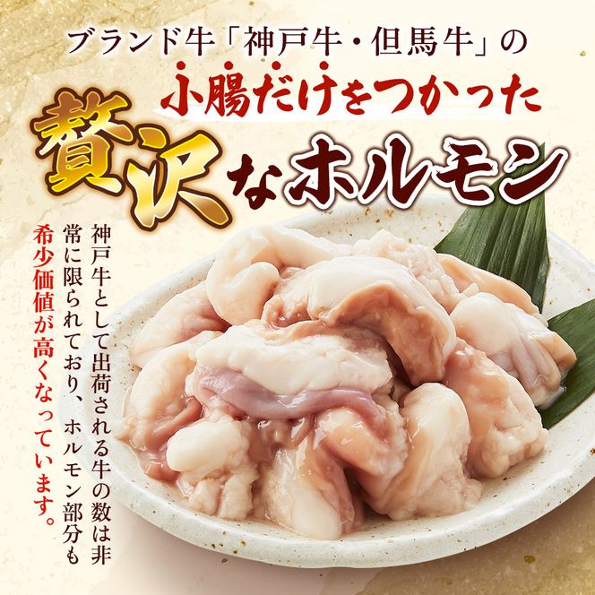 神戸牛・但馬牛 希少 ホルモン 小腸 200g 国産牛 冷凍 もつ鍋 牛肉 お肉