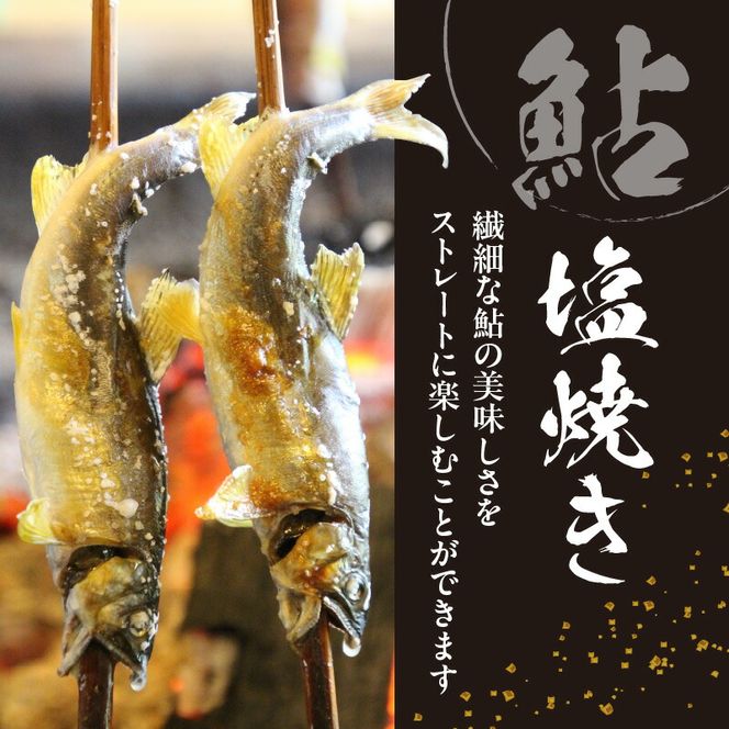 【2026年11月以降発送】【先行予約】【延岡産】小分けで便利！冷凍子持ち鮎１kg N017-YA3402
