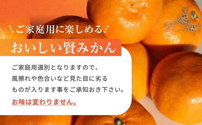 有田のブランド「賢みかん」約5kg サイズ混合 ご家庭用［2026年11月中旬頃より順次発送］ BZ130