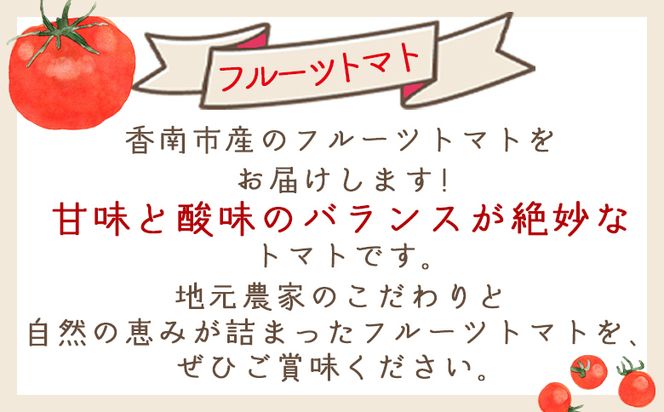 【2026年1月以降発送】フルーツトマト １ｋｇ 家庭用 yr-0066