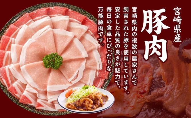 宮崎県産豚わくわく4.1kgセット(真空)≪みやこんじょ快速便≫_AC-8403-s-R